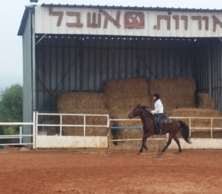 קורס מדריכי רכיבה