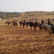 מכינה קורס רכיבה טיפולית