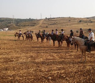 מכינה קורס רכיבה טיפולית