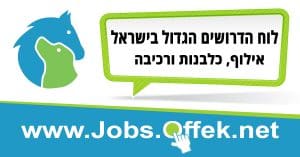 לוח דרושים מרכז אופק