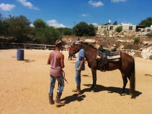 קורס מדריכי רכיבה על סוסים