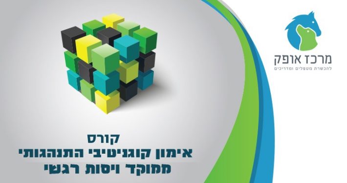 אימון קוגנטיבי התנהגותי ממוקד ויסות רגשי