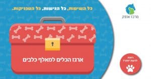 קורס אילוף כלבים