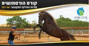 מרכז אופק אילוף סוסים