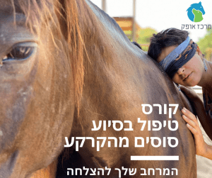 קורס טיפול בסיוע סוסים בעבודה מהקרקע