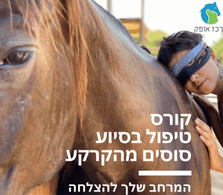 קורס טיפול בסיוע סוסים בעבודה מהקרקע
