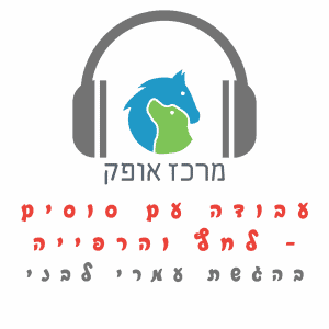 עבודה עם סוסים קורס מדריכי רכיבה על סוסים