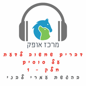 מדריך רכיבה טיפולית