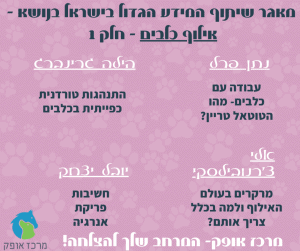 קורס אילוף כלבים מחיר מרכז אופק