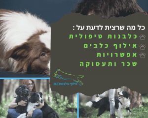 כלבנות טיפולית