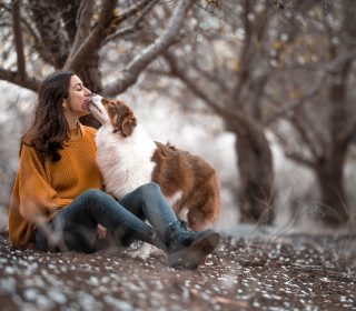 טיפול בעזרת כלבים מרכז אופק