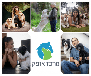 קורס מאלפי כלבים מרכז אופק