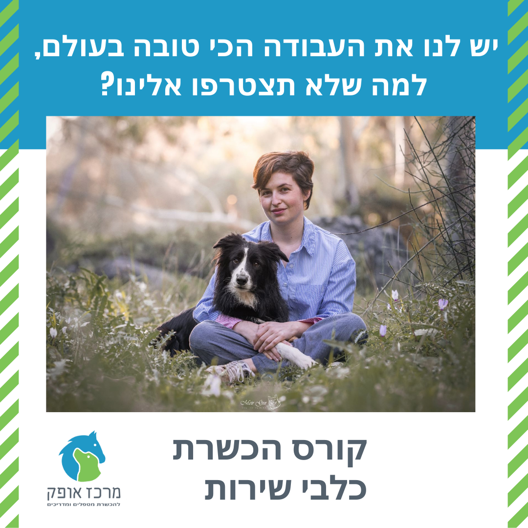 דנה וילקר מרכז אופק